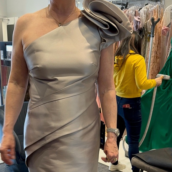 Alexander by Daymor Mother of the bride dress - Picture 3 of 7